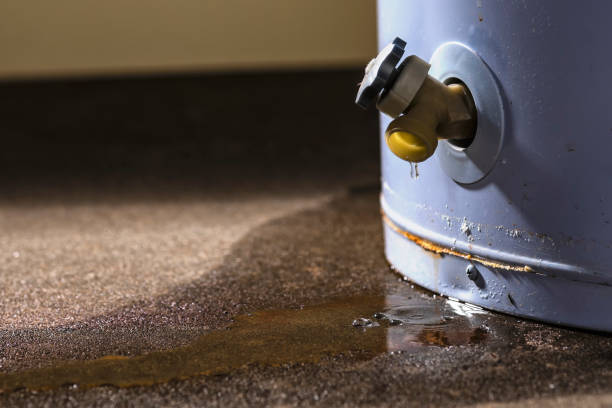 Best Professional water damage repair  in Leland, MS