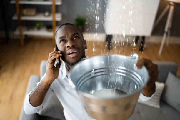 Best 24/7 water damage repair  in Leland, MS