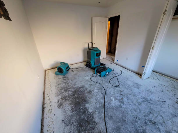  Leland, MS Water damage restoration Pros