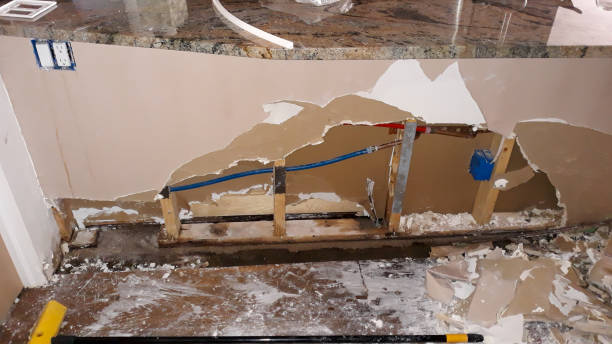 Best Flood restoration services  in Leland, MS