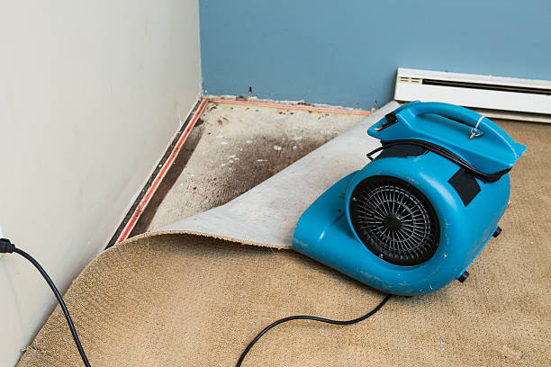 Best Water damage cleanup near me  in Leland, MS