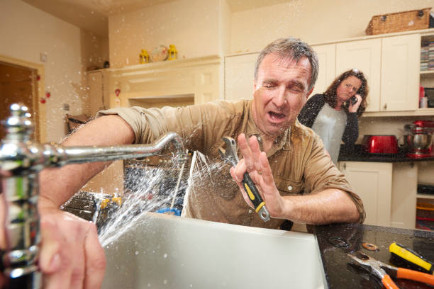 Best Basement water damage restoration  in Leland, MS